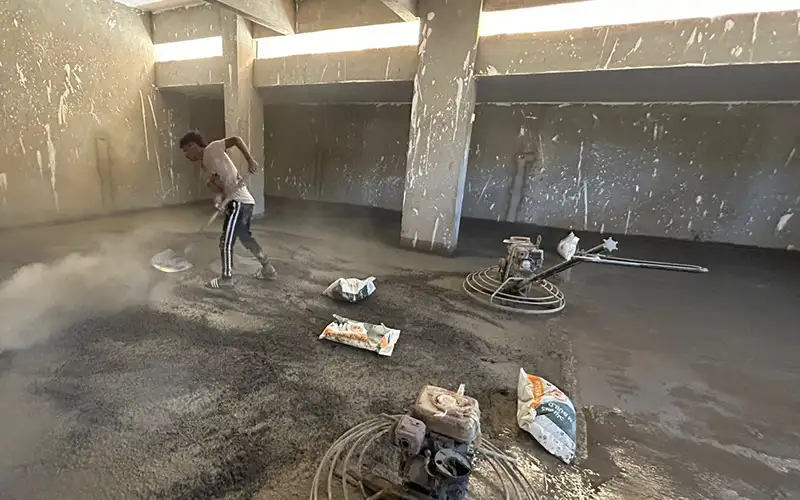 D250 النرجس اكتوبر 2025 الواجهة 3