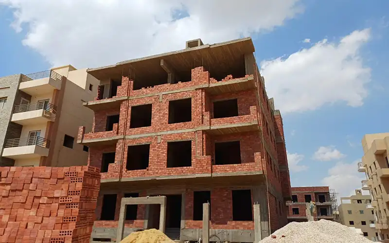 D74 النرجس اكتوبر 2025 الطوب الاحمر 1