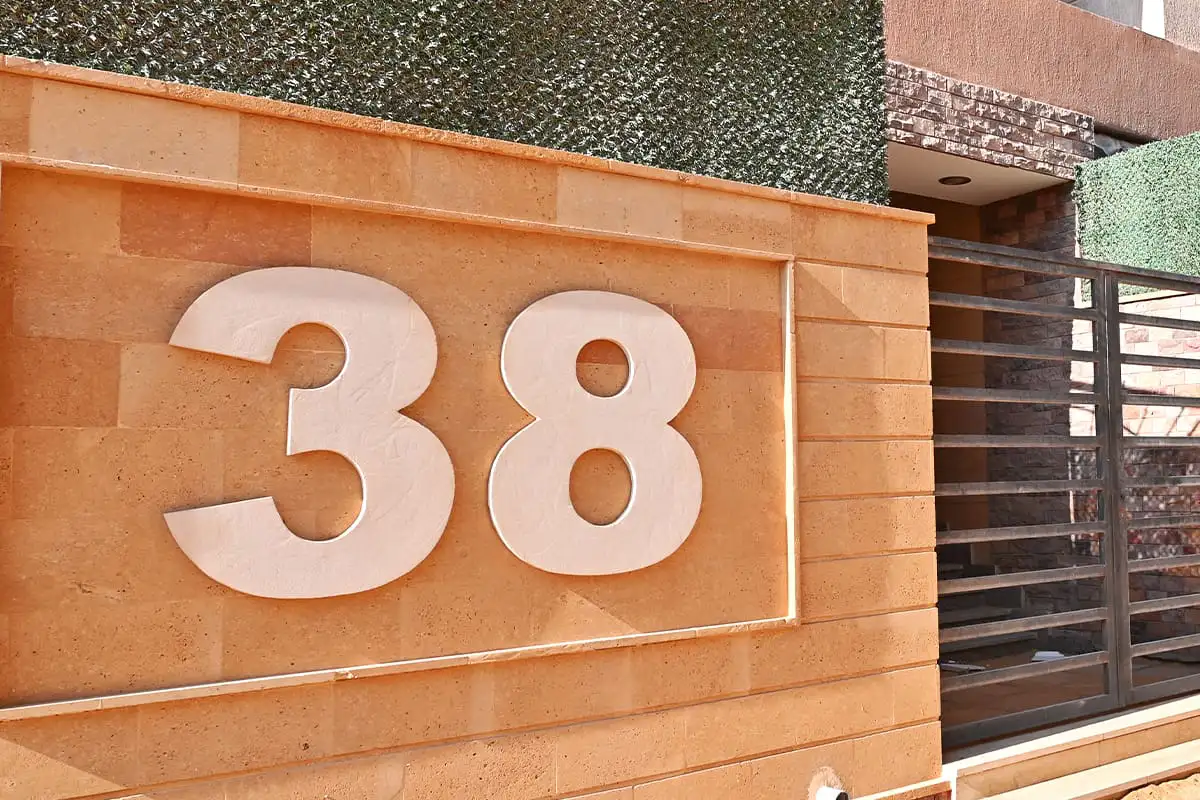 مشروع 38 اللوتس الشمالية (1)