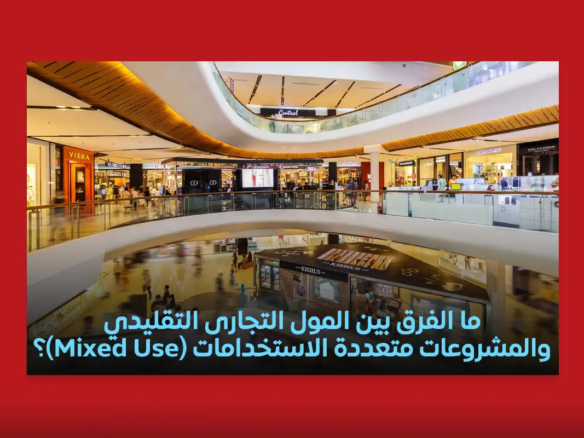 المشروعات متعددة الاستخدامات